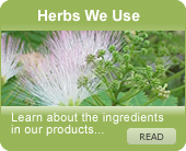 Picture of Herbs