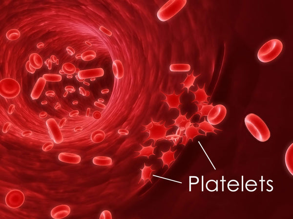 Platelet Count Health