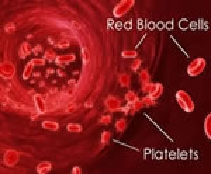 Blood Health