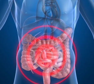 Colon & Large Intestine Health