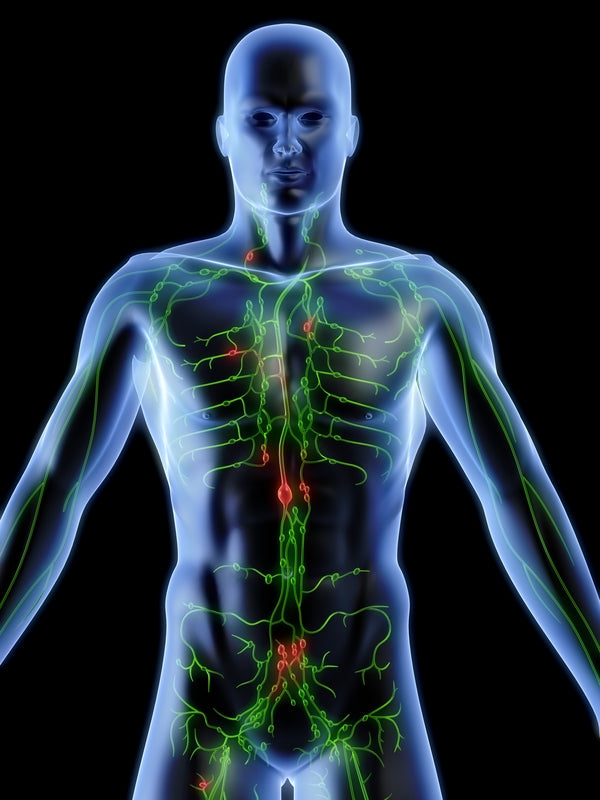 Lymphatic Health